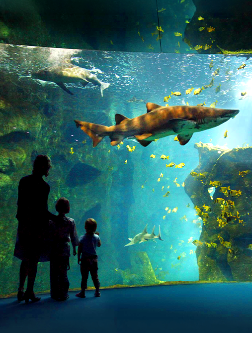 Privatisation - Groupes - Évènementiel - Aquarium - Brasserie La Haut - Restaurant Aquarium La Rochelle